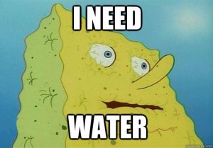 spongebob needs water